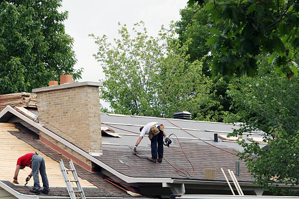 Roof Gutter Cleaning in Dequincy, LA