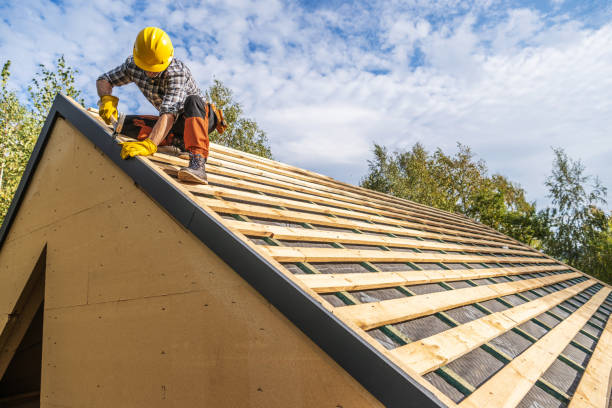 Best Roof Gutter Cleaning  in Dequincy, LA